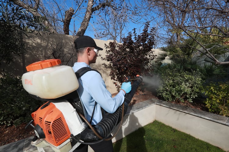 What is Pet Friendly Pest Control?