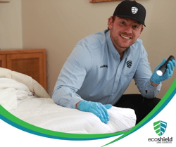 Bed Bug Inspection