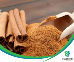 Cinnamon Repel Myth