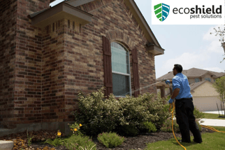 EcoShield Pest Application