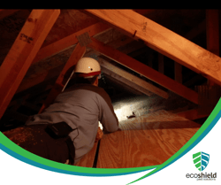EcoShield Inspection in Attic-1