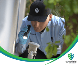 EcoShield Inspection-1
