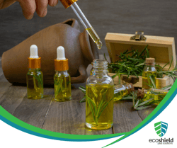 Essential Oils Natural DIY
