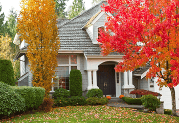White House with Fall Changing Leaves in Front