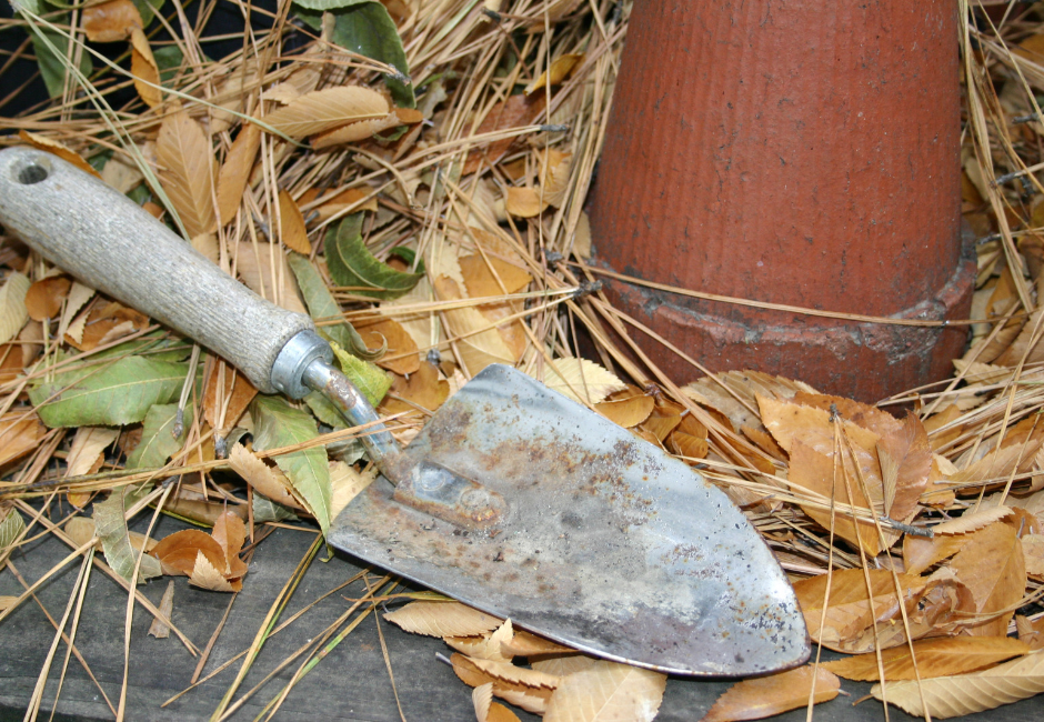 Gardening Trowel and Small Plant Pot in Leaves