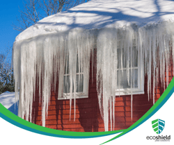 Ice Dam on Roof