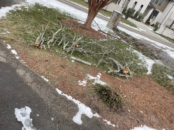 Ice storm recovery Nashville, Dallas & Tommy (2)