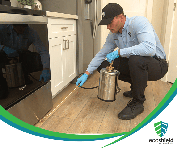 Does Preventative Pest Treatment Really Work?