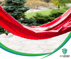 Ladybug Infestation on Hammock