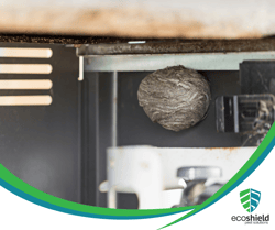 Nest under Grill