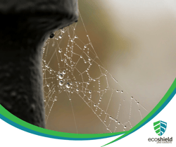 Raindrops in Web
