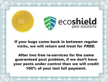 Screenshot_23-2-2026_12166_outlook.office.com