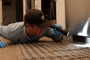 Spider-Technician-EcoShield-Pest-Solutions