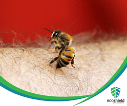 Spring Pests Blog4