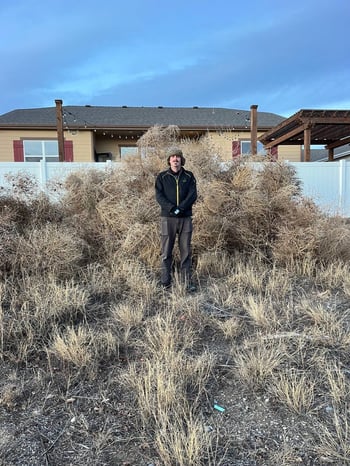 Tumbleweeds Denver North