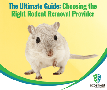 Ultimate Guide Featured Photo