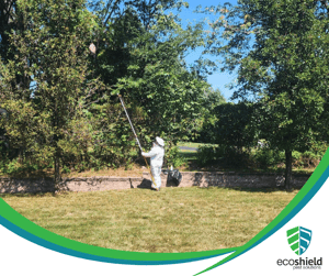 EcoShield Technician Performing Wasp Nest Removal with Fogger and Full Wasp Suit