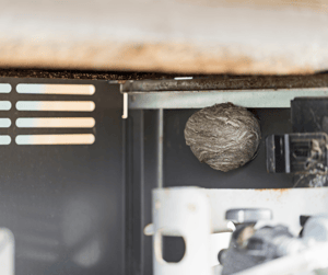 Paper Wasp Nest Inside of a Grill