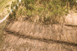 aerial-view-of-deforestation-for-territory-of-futu-2021-09-04-16-27-30-utc