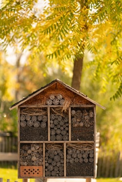 bee-hotel-2021-10-11-15-25-41-utc