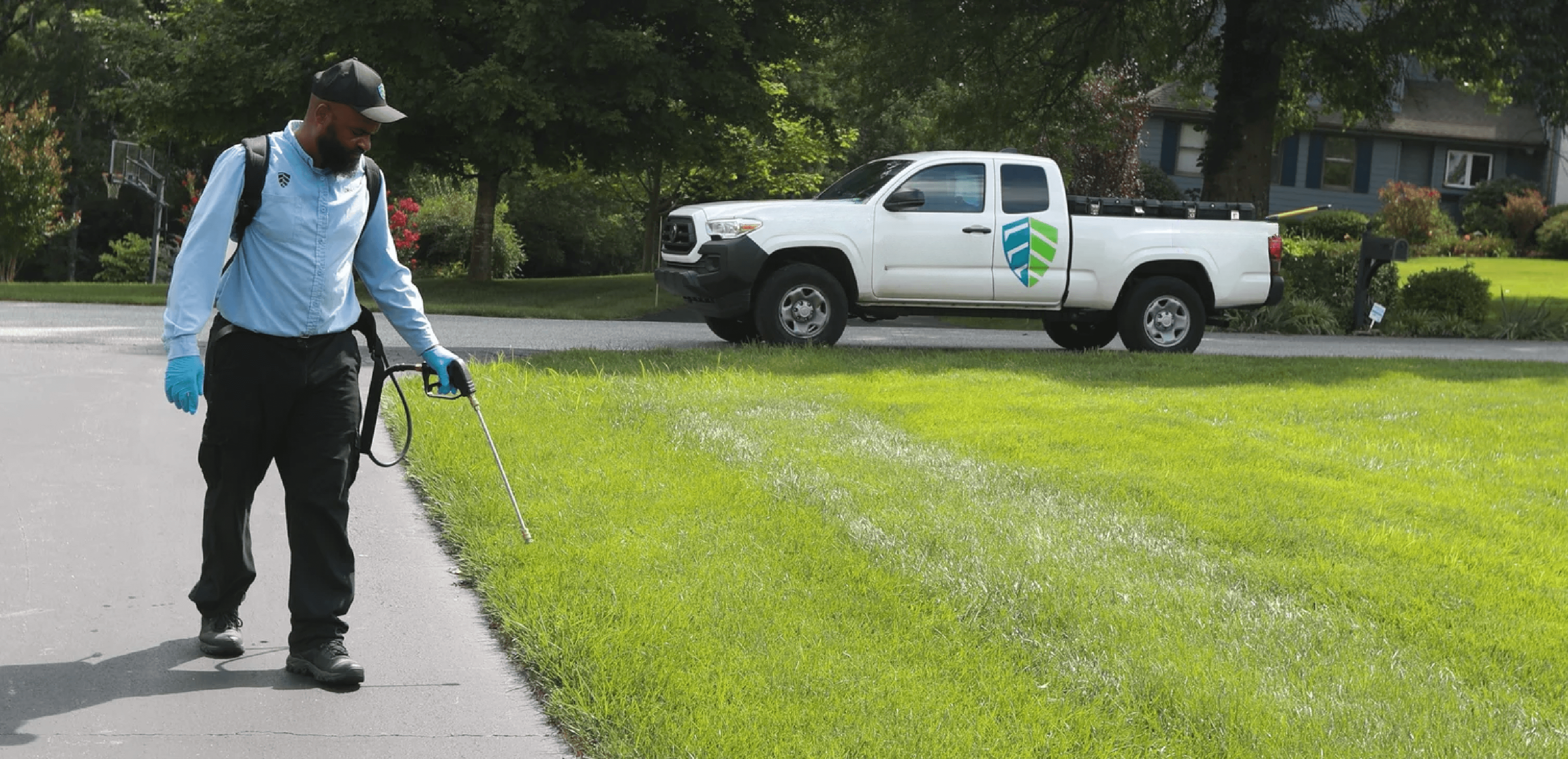 EcoShield Pest Solutions Reviews