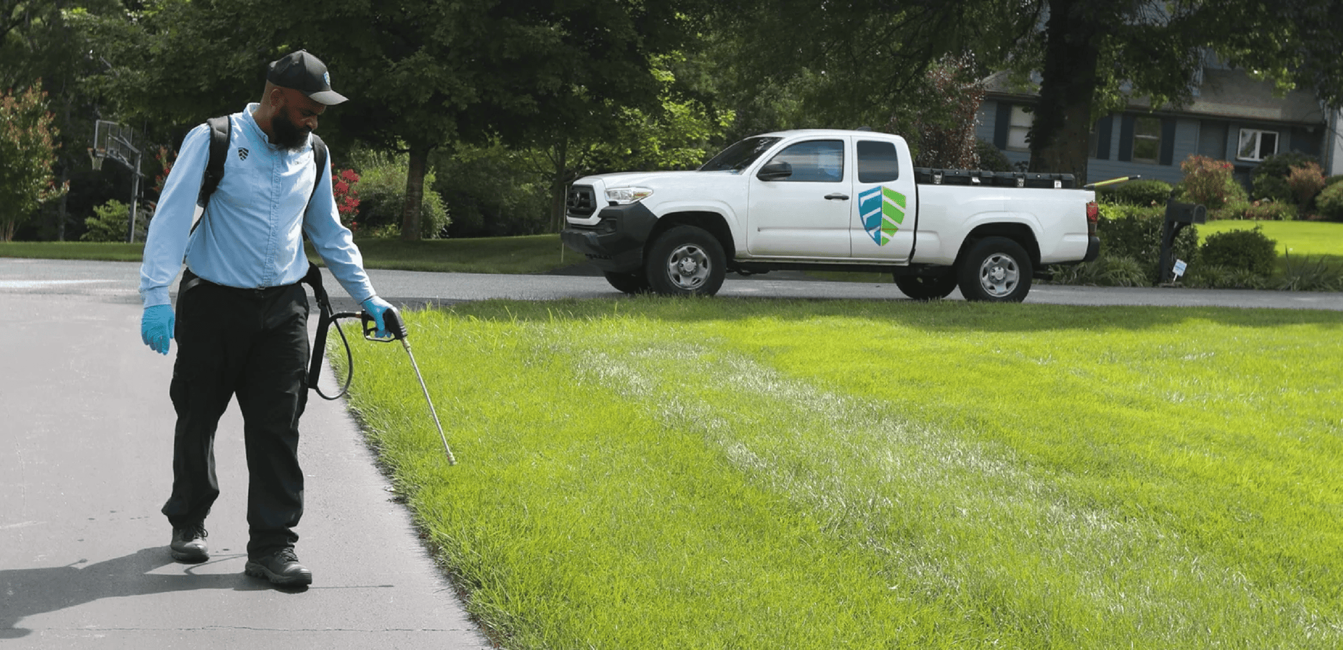 Ecoshield pest solutions reviews