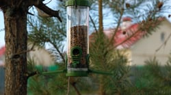 close-up-green-plastic-bird-feeder-with-seeds-on-a-2022-11-01-00-10-14-utc