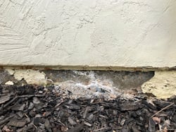 crumbling-wall-on-foundation-of-home-2022-11-15-12-42-49-utc