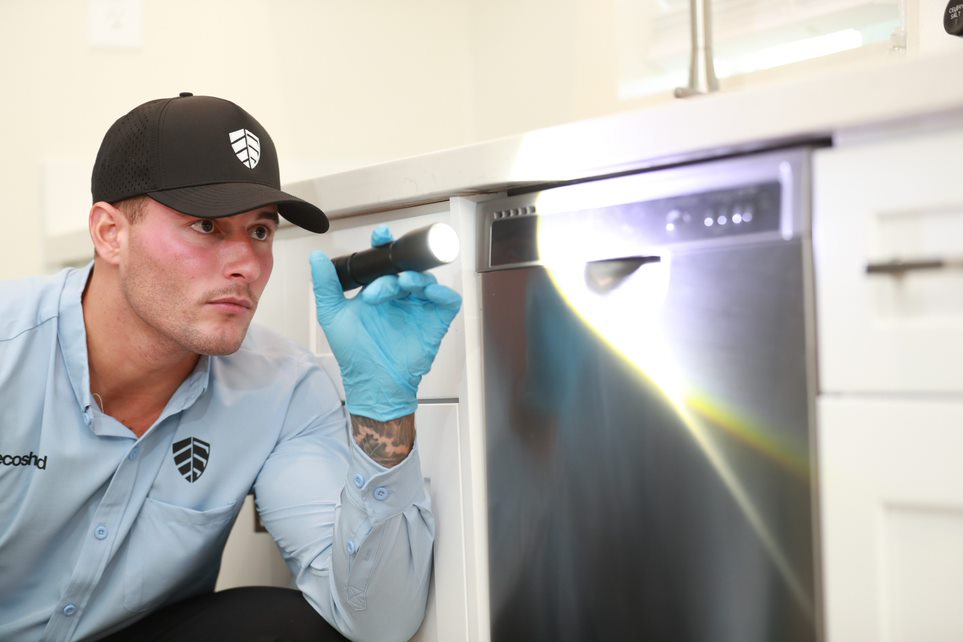 kitchen inspection1