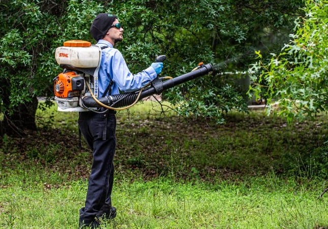 Pest Control | Exterminators | EcoShield Pest Solutions