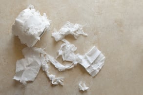 shredded-toilet-paper-roll-on-the-floor-how-to-s-2022-08-01-02-01-01-utc