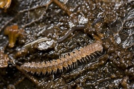 shutterstock_9737548