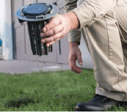 ecoshield pest control ecoshield pest control