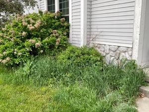 thumbnail_IMG_0020