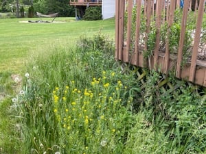 thumbnail_IMG_0025