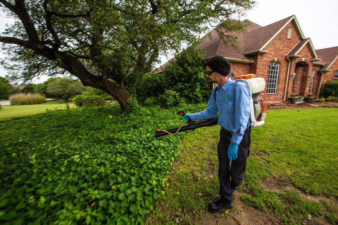 Mosquito Control Service Mosquito Company